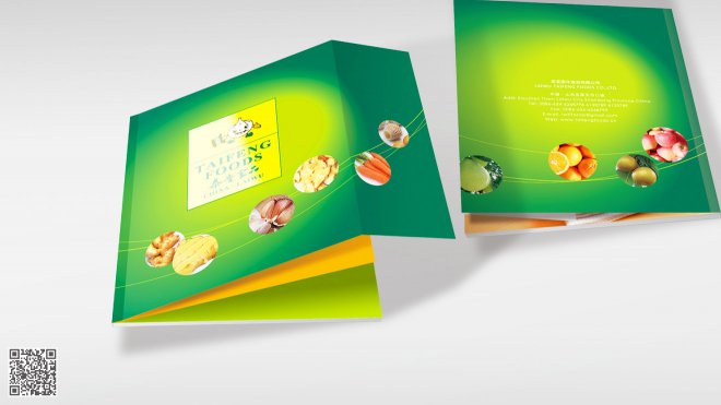 2018-2019年最新企業(yè)畫冊設(shè)計標(biāo)準(zhǔn)