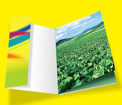 企業(yè)畫冊(cè)設(shè)計(jì)一頁多少錢？
